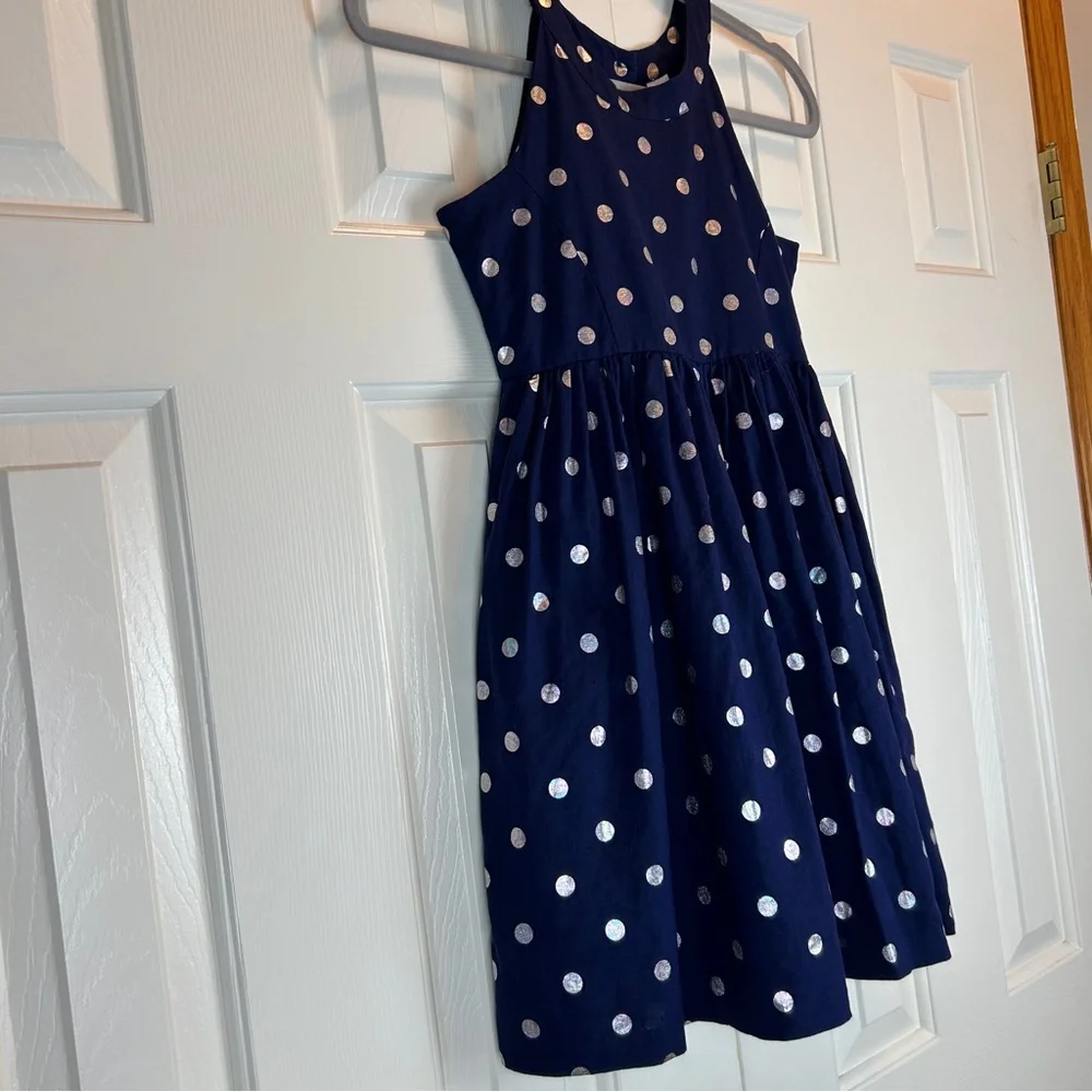 Gymboree Blue Polka Dot Linen Dress
